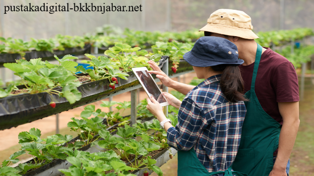 5 Mata Kuliah Kunci yang Akan Membentuk Karier Agribisnis