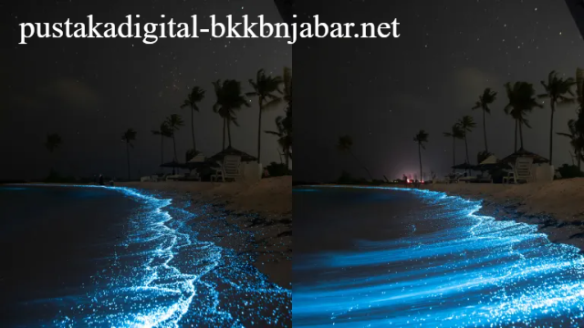 Wisata Pantai di Maladewa